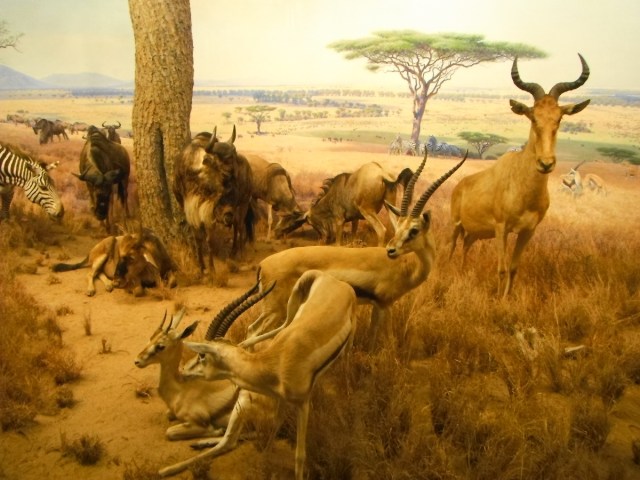 2013-09 y 10 Estados Unidos y Canadá 916