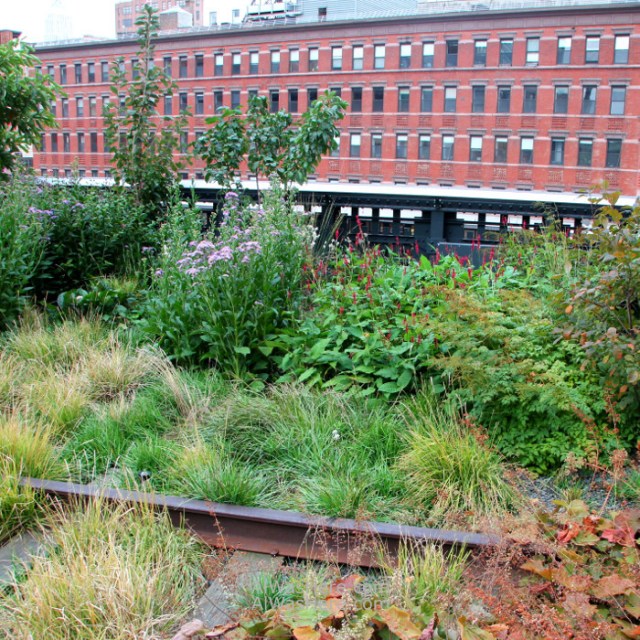 high-line-nueva-york-new