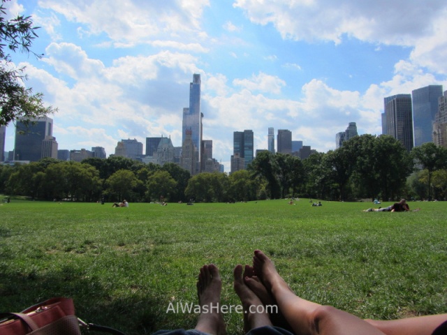 view-of-midtown-from-the-sheep-meadow