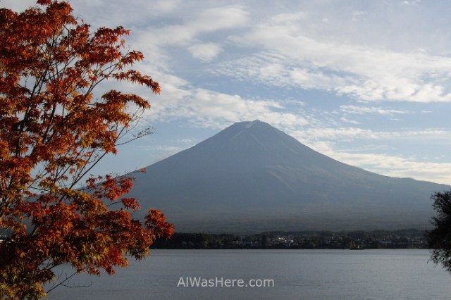 monte-fuji-fujiyama-arbol-y-lago-japon-mount-fuji-tree-lake-japan