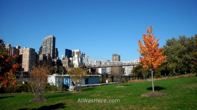NUEVA YORK ROOSEVELT ISLAND 10. parque park New York City