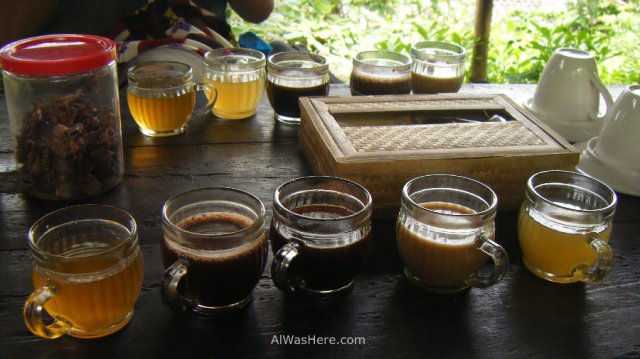 Variedades Kopi Luwak