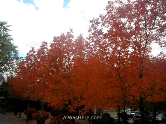 arces-en-centre-ville