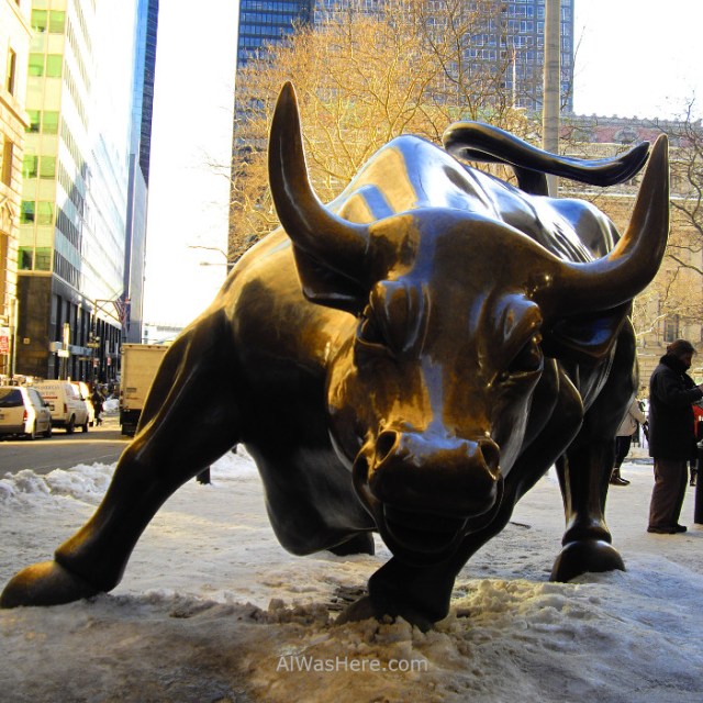 6-charging-bull-downtown-nueva-york-toro-wall-street-new