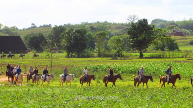 0. Montar a Caballo en el Valle de Viñales, Cuba. Riding horses Vinales Valley