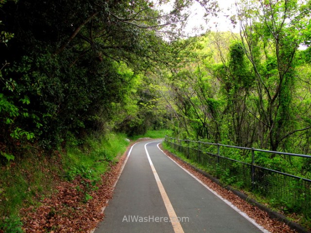 Shimanami Kaido 2. Carril bici Japon, bike lane japan