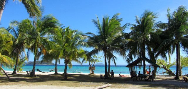 MALCAPUYA, BANANA, BULOG DOS ISLANDS 9. Malcapuya Island, Coron, Palawan, Filipinas. Philippines
