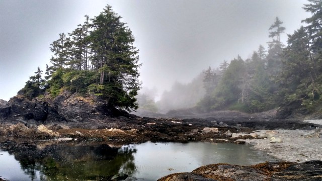 JUAN DE FUCA 0. Botanical Bay, Juan de Fuca Marine Trail, Isla de Vancouver, Columbia Britanica, Canada. Island, British