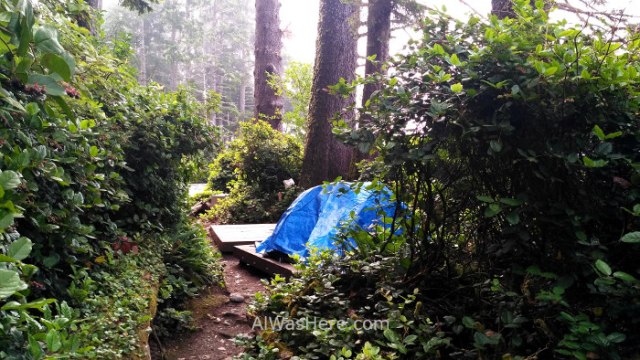 JUAN DE FUCA 30. Tienda de campaña en Sombrio Beach, Marine Trail, Isla de Vancouver, Columbia Britanica, Canada. British, Island. Tent