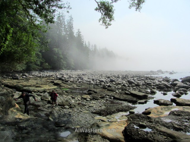 JUAN DE FUCA 31. Playa de Sombrio Beach, Marine Trail, Isla de Vancouver, Columbia Britanica, Canada. British, Island. (2)