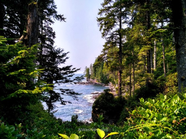 JUAN DE FUCA 35. Marine Trail, Isla de Vancouver, Columbia Britanica, Canada. British, Island.