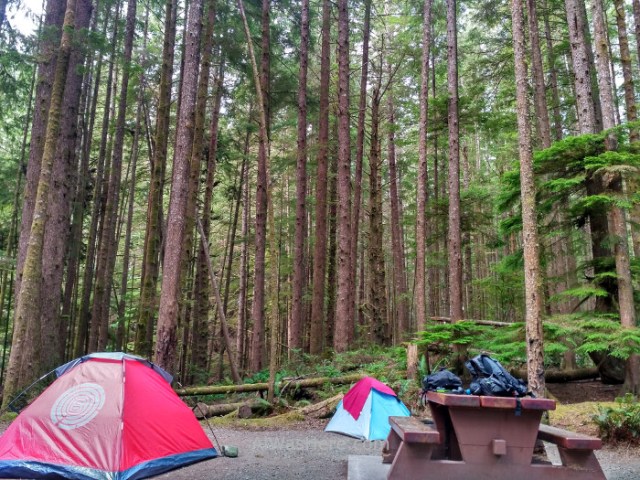 JUAN DE FUCA 5. Nuestras tiendas en China Beach Campground Juan de Fuca Marine Trail, Isla de Vancouver, Columbia Britanica, Canada. Island, British