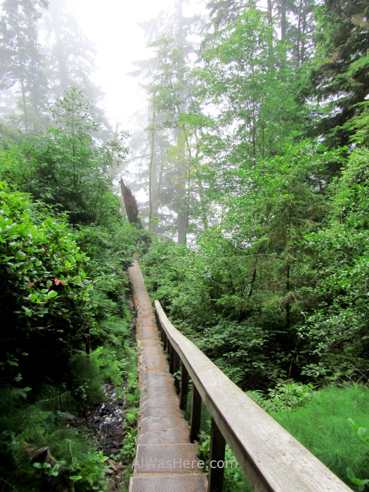 Juan de Fuca 8. pasarela hecha con un tronco, Marine Trail, Isla de Vancouver, Columbia Britanica, Canada. British, Island gangway made of a trunk