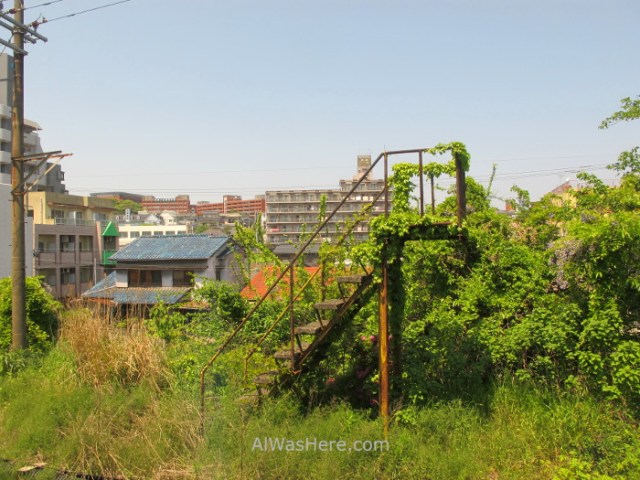 Kawachi Fuji en 2. Escalera abandonada cubierta de vegetacion. Kitakyushu, Japon. Abandoned stair covered in vegetation, Japan