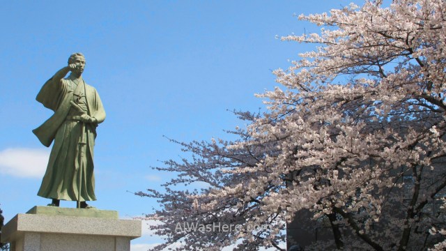 Sakura Hanami 23. Flores cerezo parque Sumida Tokio Japon. Cherry blossoms park Tokyo Japan