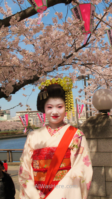 Sakura Hanami 27. Geisha Maiko Flores cerezo parque Sumida Tokio Japon. Cherry blossoms park Tokyo Japan