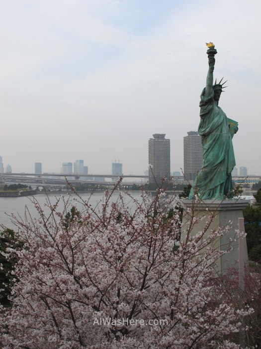 Sakura Hanami 45. Flores cerezo Odaiba Tokio Japon. Cherry blossoms Tokyo Japan