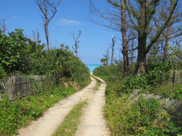 Yoron to 10. OOGANEKU KAIGAN U OGANEKU BEACH (2) Kagoshima, Kyushu, Japon, Japan