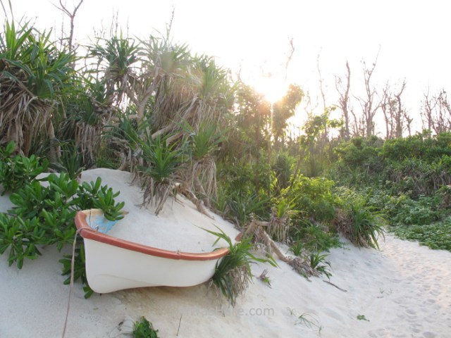 Yoron to 14. OOGANEKU KAIGAN U OGANEKU BEACH (2) Kagoshima, Kyushu, Japon, Japan