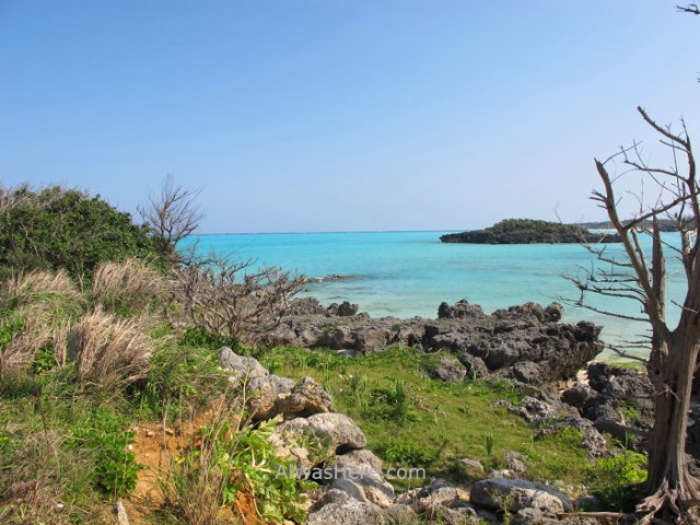 Yoron to 7. KAIDA KAIGAN Kagoshima, Kyushu, Japon, Japan