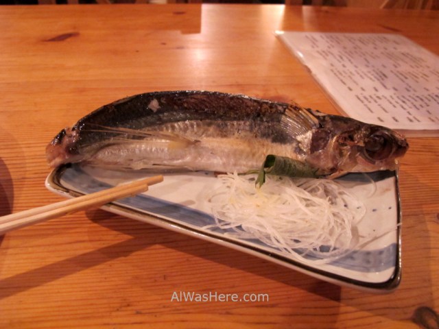 Yakushima 0. Pez volador. Kyushu, Japon. Flying fish, Japan