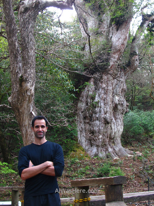 YAKUSHIMA 10. alwashere Jomonsugi Ohokabu Trail, Japon. stairs Japan