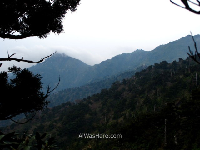 YAKUSHIMA 12. Miyanoura mountainTrail, Japon. Japan