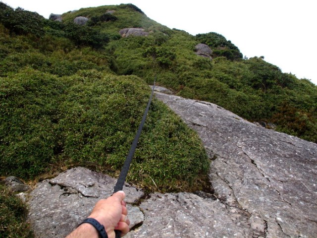 YAKUSHIMA 13. Miyanoura mountainTrail, Japon. Japan