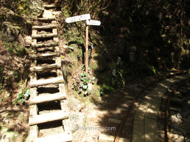 YAKUSHIMA 5. Union de Arakawa con Ohokabu Trail, Japon. Japan