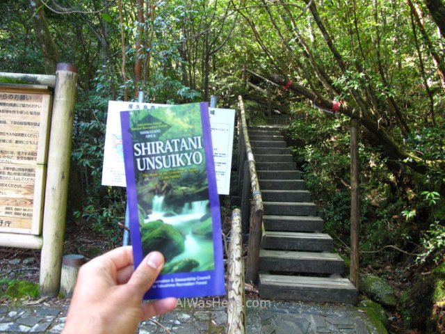 Yakushima Shiratani Unsuikyo 1, Miyanoura, Japon. Japan. Momonoke Hime.