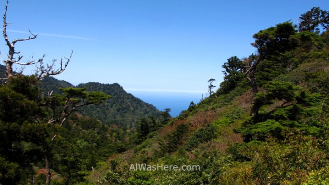 Yakushima Shiratani Unsuikyo 16. Taikoiwa rock, Miyanoura, Japon. Japan. Momonoke Hime.