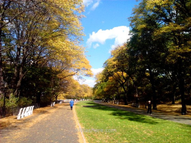 Nueva York running 6. Hudson River Greenway and Riverside Park. New York City