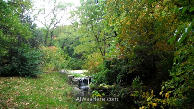 BROOKLYN 1. Prospect Park, Nueva York. New