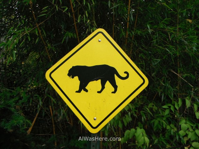 Nueva York Zoo del Bronx 3. Panel. New