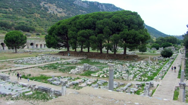 EFESO 5,Ephesus Agora Turquia. Turkey