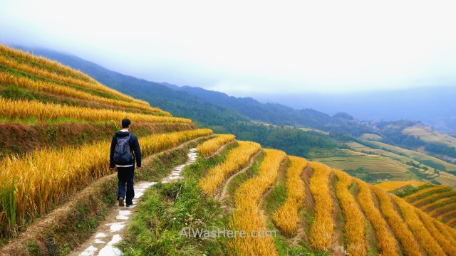 TERRAZAS ARROZ LONGJI transporte. 6. camino, trail path,rice terraces Dazhai, Guilin, China alwashere