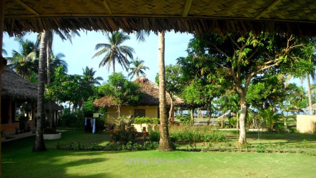 DONSOL INFORMACION 2 alojamientos Dancalan beach playa accommodation information Philippines Filipinas (2)