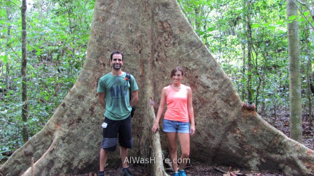 SABANG RIO SUBTERRANEO PUERTO PRINCESA 1. Jungle Trail. Underground River New 7 Wonders of Nature Maravillas Naturaleza, Palawan, Filipinas Philippines (4)