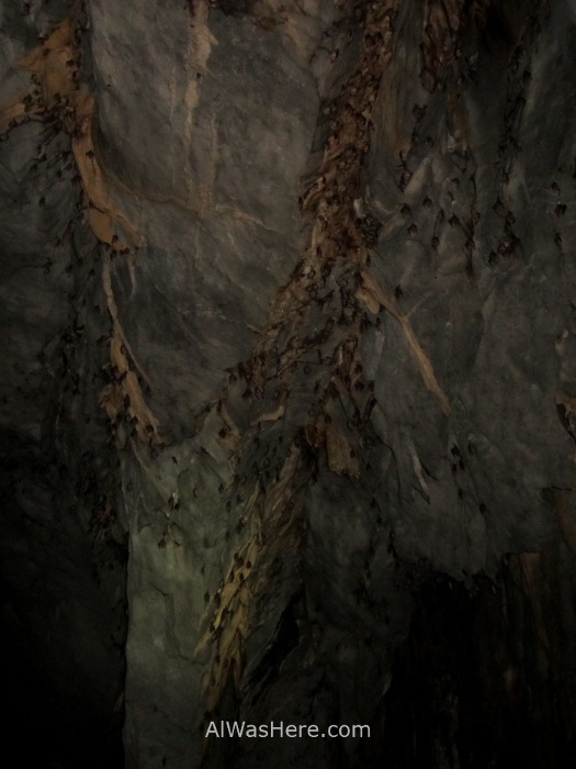 SABANG RIO SUBTERRANEO PUERTO PRINCESA 3. cueva. Underground River New 7 Wonders of Nature Maravillas Naturaleza, Palawan, Filipinas Philippines murcielagos bats