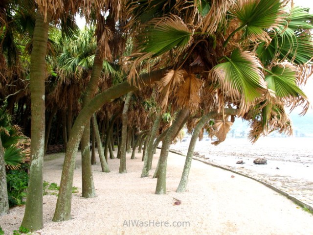 AOSHIMA 2. Isla Island palmeras beach playa sand arena palms Japan Japon Kyushu Miyazaki
