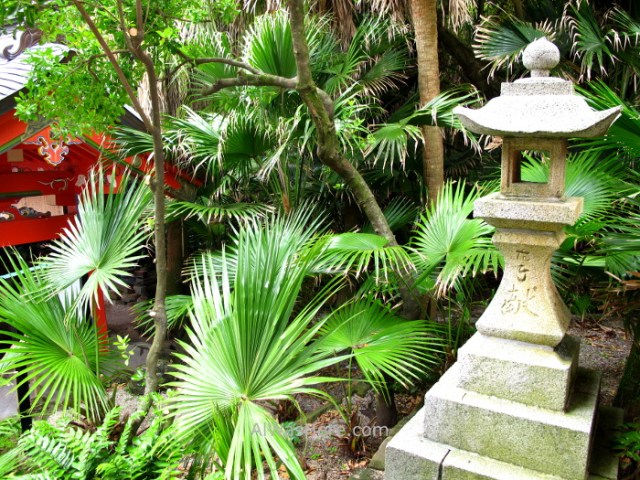 AOSHIMA 3. Isla Island templo temple shrine santuario Japan Japon Kyushu Miyazaki