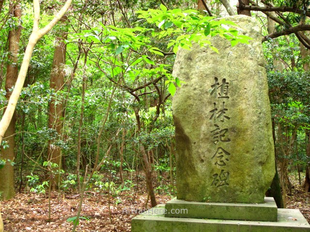 AOSHIMA 5. Isla Island templo temple shrine santuario Japan Japon Kyushu Miyazaki (2)