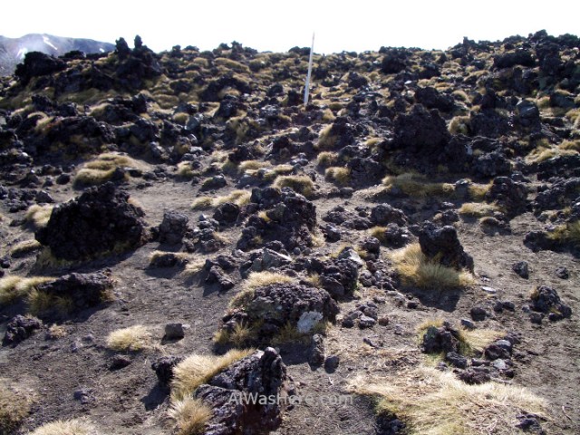 TONGARIRO NATIONAL PARK 2 Alpine Crossing Crater Sur South New Zealand Parque Nacional Nueva Zelanda (2)