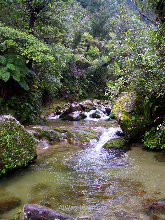 ABEL TASMAN NATIONAL PARK 2 Cleopatras Pool parque nacional, Nueva Zelanda New Zealand (2)