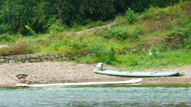 Crucero Río Li (107) bamboo raft bambu balsa Guilin Yangshuo