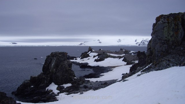 Antártida 1 Half Moon Island Antarctica Media Luna South Shetland Sur (3)