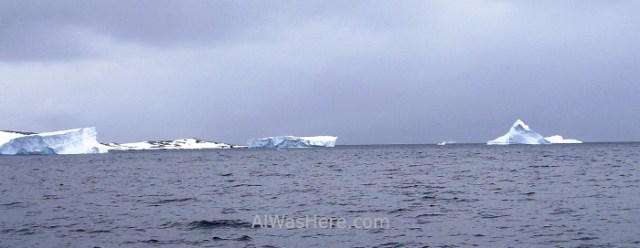 Antártida Cuverville Island Antarctica (1)