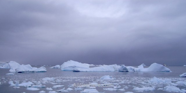 Antártida Cuverville Island Antarctica (6)