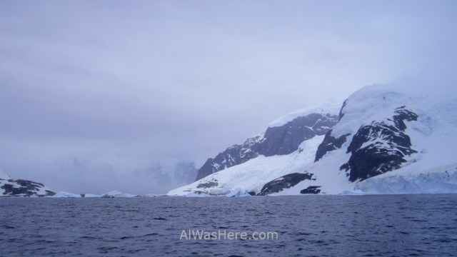 Antártida Cuverville Island Antarctica